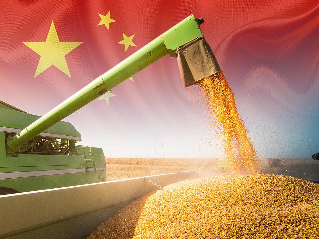 China: importação de milho cai 81,6% em maio ante maio de 2024