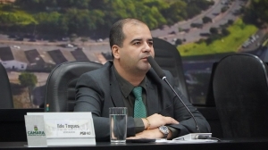 Ilde Taques propõe mudança no PL da Família Acolhedora para impedir que irmãos sejam separados