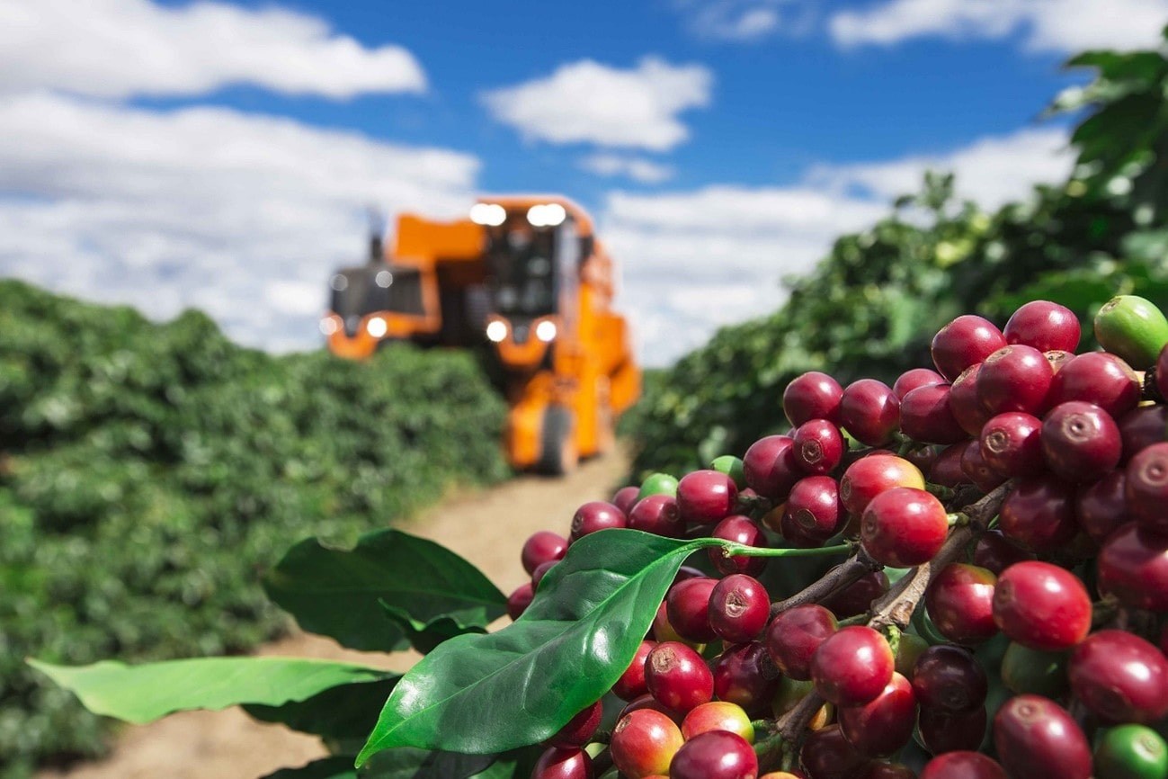 Exportação dos Cafés do Brasil totaliza 42,96 milhões de sacas no acumulado de onze meses