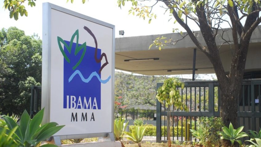TCU obriga Ibama a mudar gestão de recursos de multas ambientais