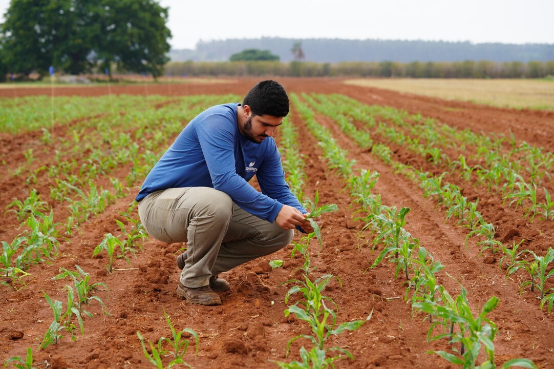 Aprosoja MT considera derrubada de veto fundamental para produção de bioinsumos on farm
