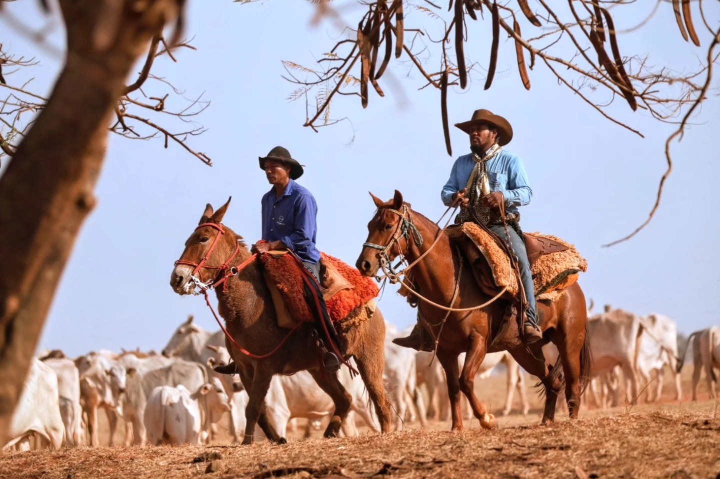 O agro brasileiro precisa virar a página