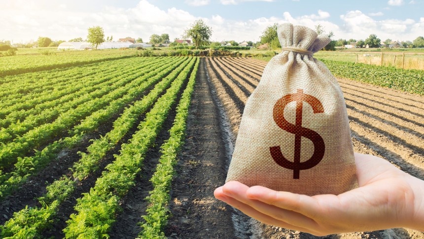 Copom eleva juros básicos da economia para 15% ao ano