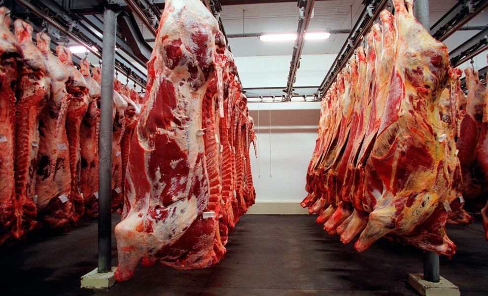 Exportações seguem como grande ponto de sustentação do mercado de carne bovina