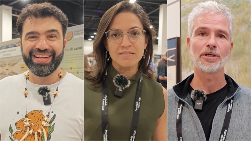 Brasileiros marcam presença na maior conferência psicodélica do mundo