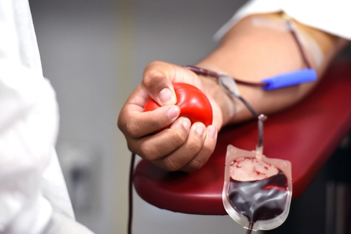 Doar sangue pode beneficiar a saúde do doador? Estudo sugere que sim