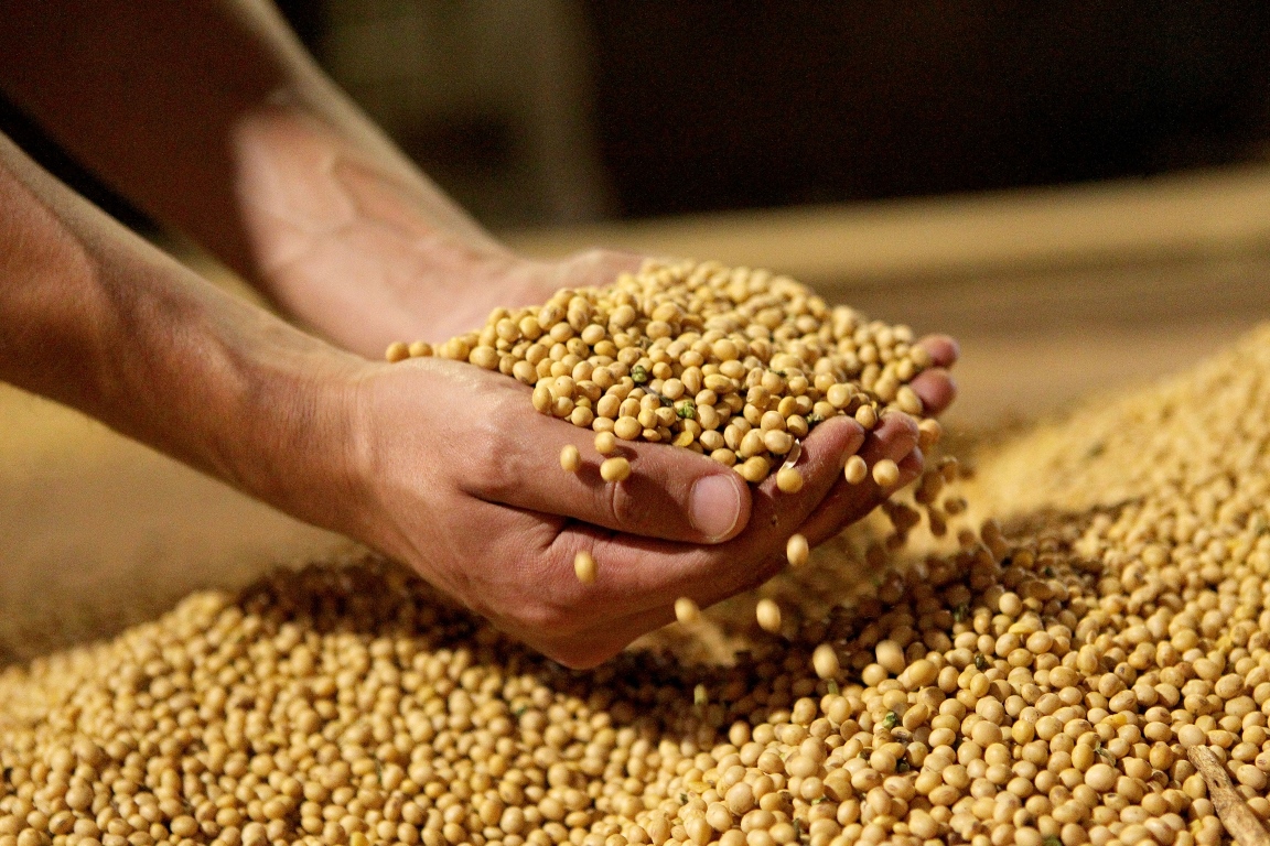 Ministério da Agricultura apreende 51 t de soja irregular no RS