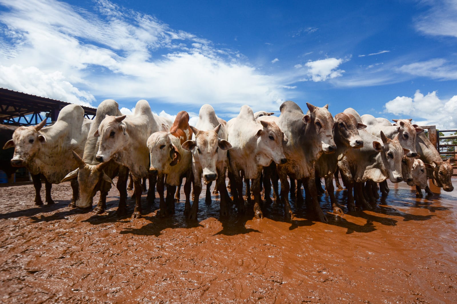 Mercado de reposição no Tocantins