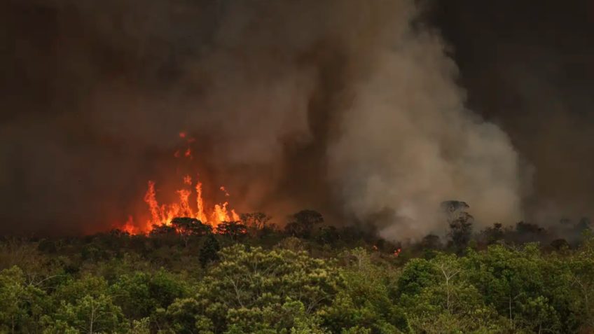 MapBiomas: Área queimada em 2024 supera média em 62%