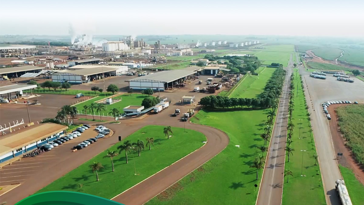 São Martinho tem lucro líquido de R$ 105 milhões no 4º tri da safra 2024/25