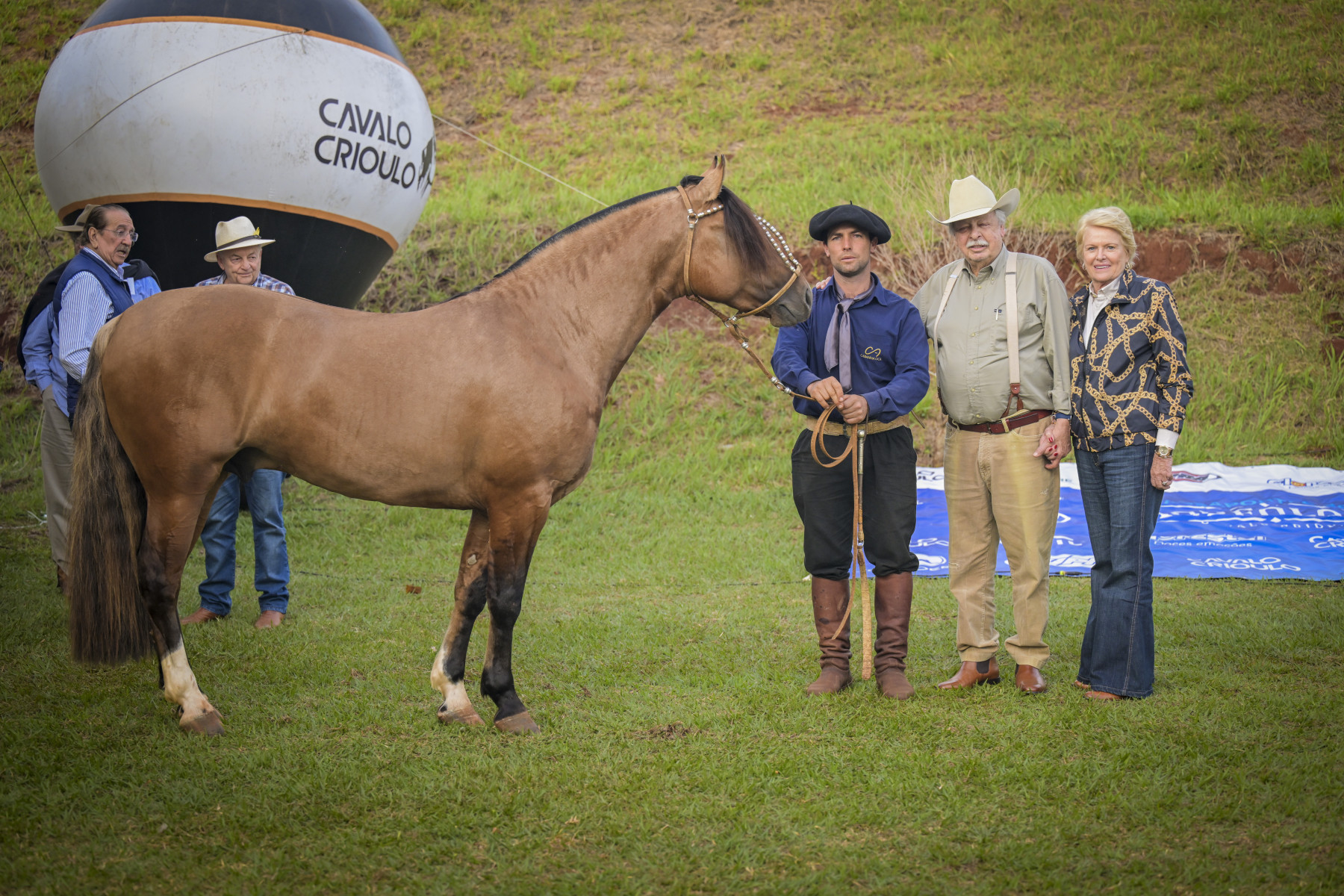 Cavalo Crioulo conquista o Rei do Gado e Roque Quagliato compra exemplar da raça