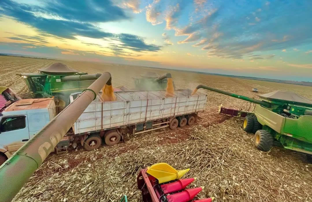 Conab diz que colheita de milho safrinha alcança 10,3% da área plantada