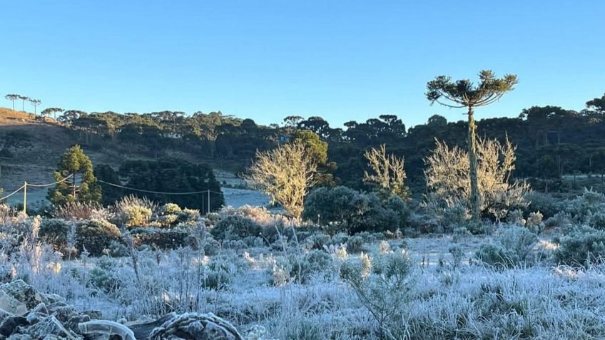 Temperatura chega a -8°C em SC e bate recorde de frio no ano