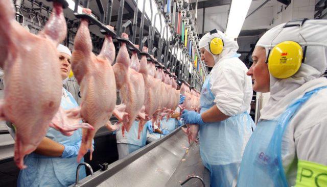 Gripe aviária: 17 países suspendem restrição à carne brasileira 