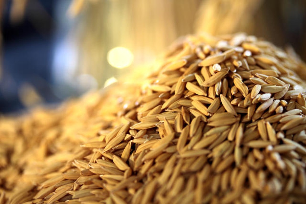Demandas interna e externa limitam recuos de preços do arroz