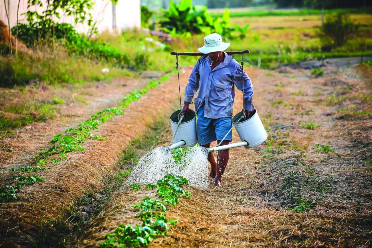 CNA/Cepea: agronegócio empregava 28,5 milhões de pessoas no 1º trimestre
