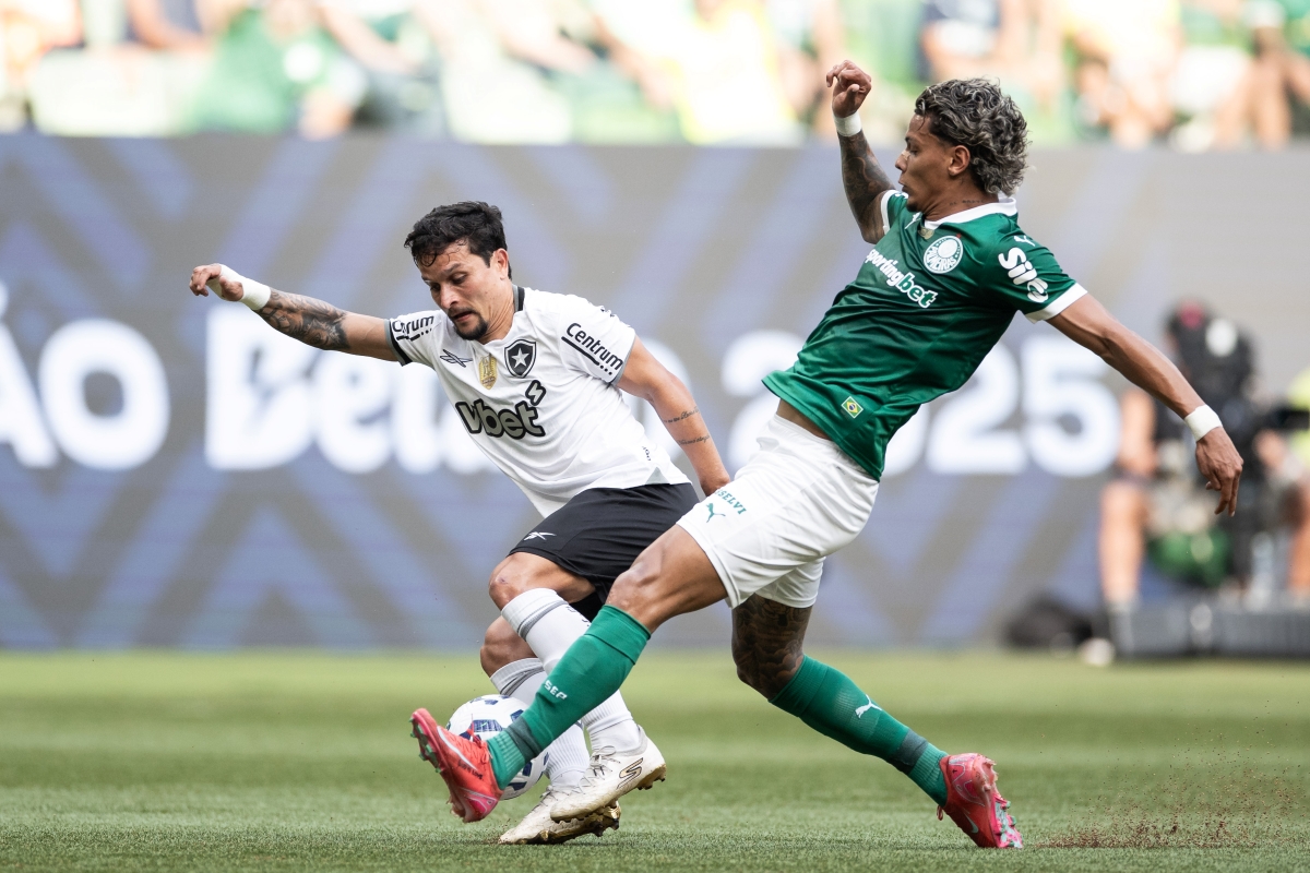 Botafogo tem ótimo retrospecto recente contra o Palmeiras. Confira
