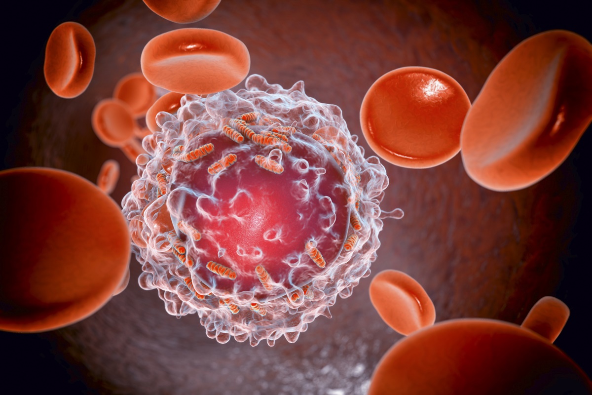 5 mitos e verdades sobre a leucemia