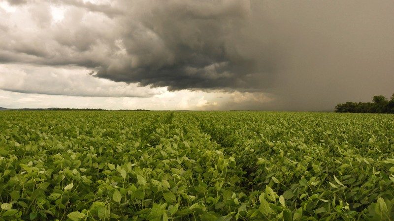 Julho será de calor acima da média e chuvas irregulares em boa parte do Brasil, aponta INMET