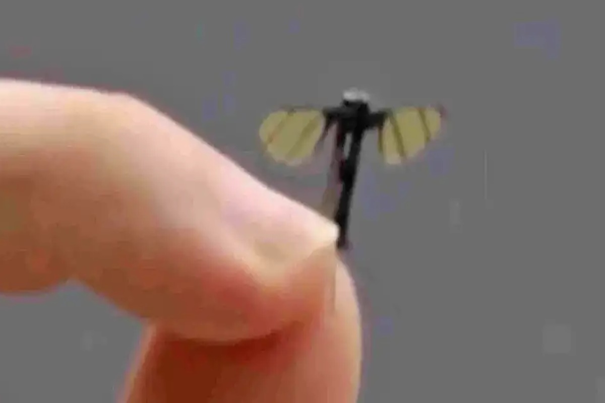 China apresenta drone militar do tamanho de uma mosca. Saiba como é