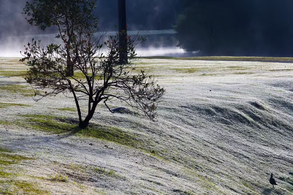 Quarta onda de frio de 2025 atinge o Brasil nesta semana; veja onde será mais intenso