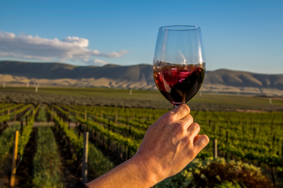 Tomar vinho todos os dias é seguro? Saiba o que acontece com seu corpo