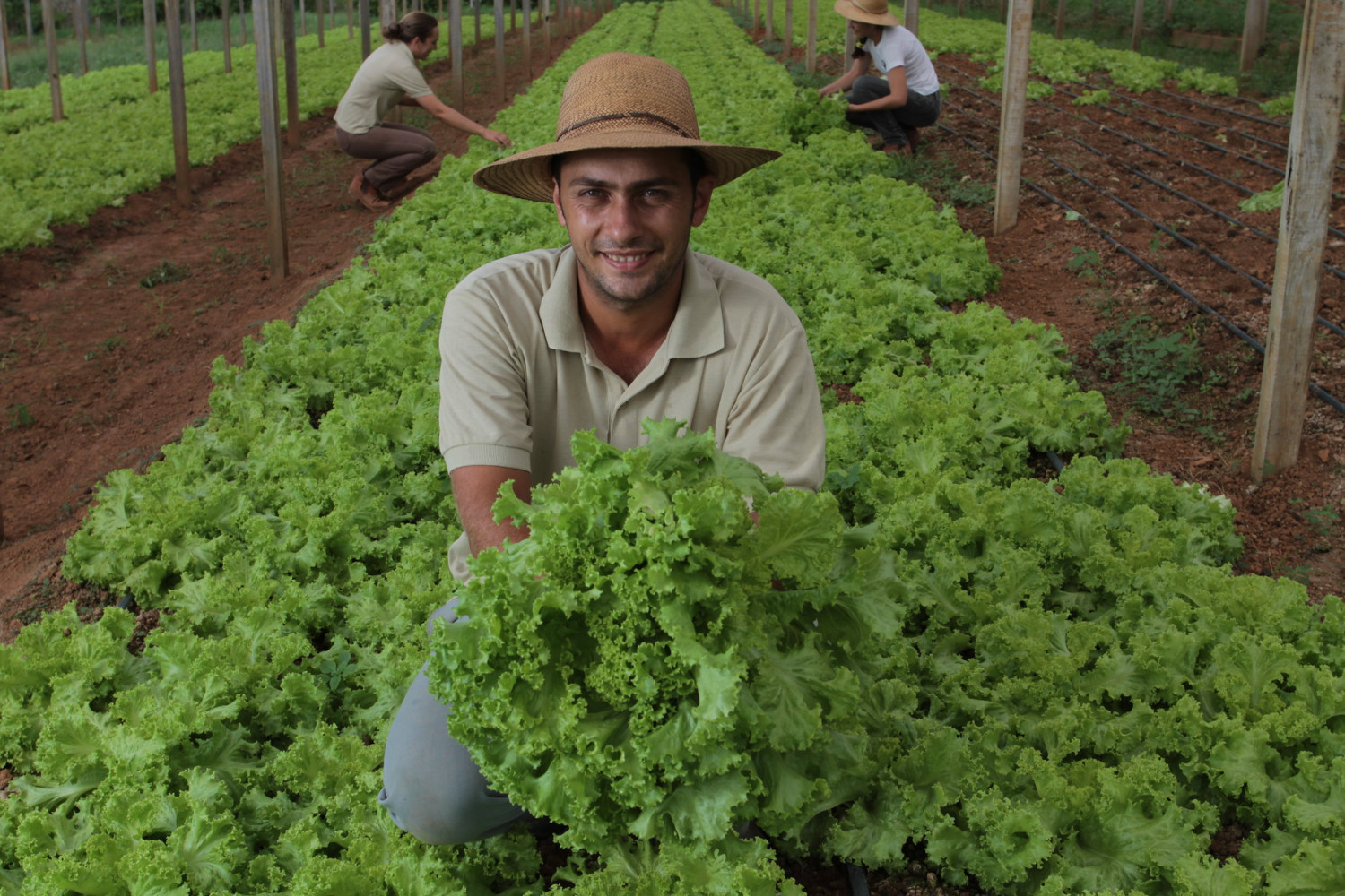 Parceria destina quase R$ 300 milhões para agricultura familiar na Bahia