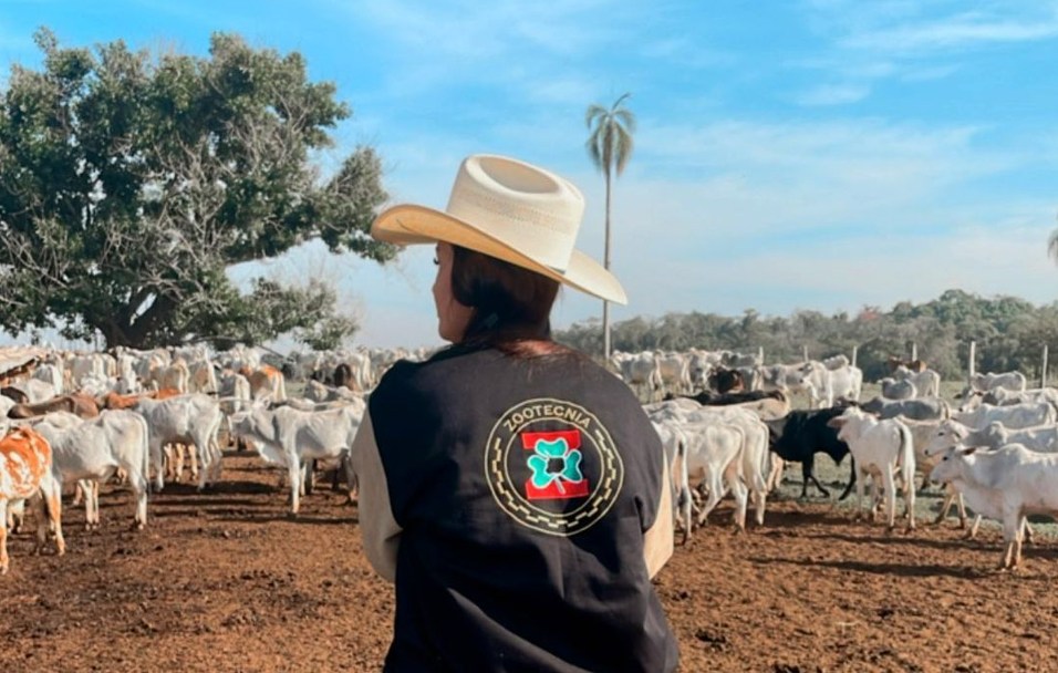 A rotina de uma zootecnista no confinamento: experiência prática no campo