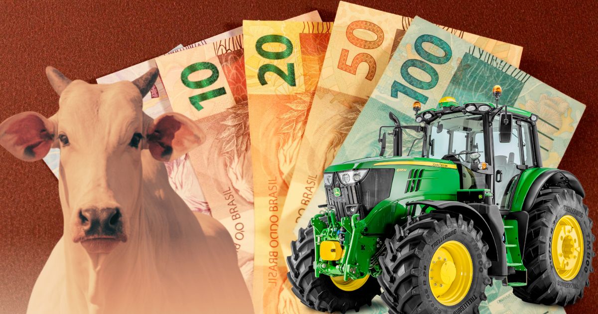 Governo Federal lança Plano Safra 25/26 nesta terça-feira (1)