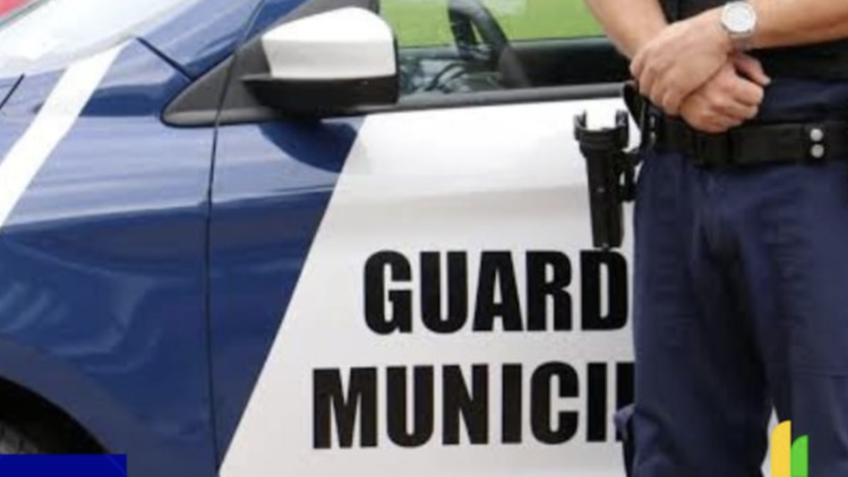 PF define regras para porte de arma de guardas municipais