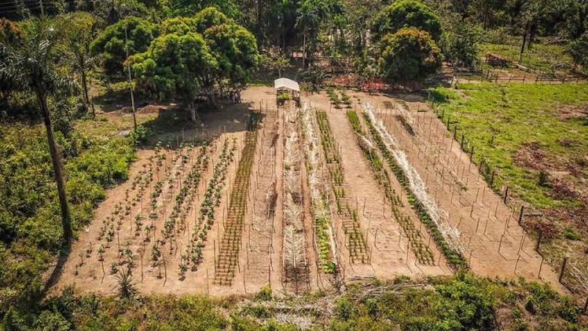 Governo anuncia Plano Safra com R$ 78,2 bi para agricultura familiar