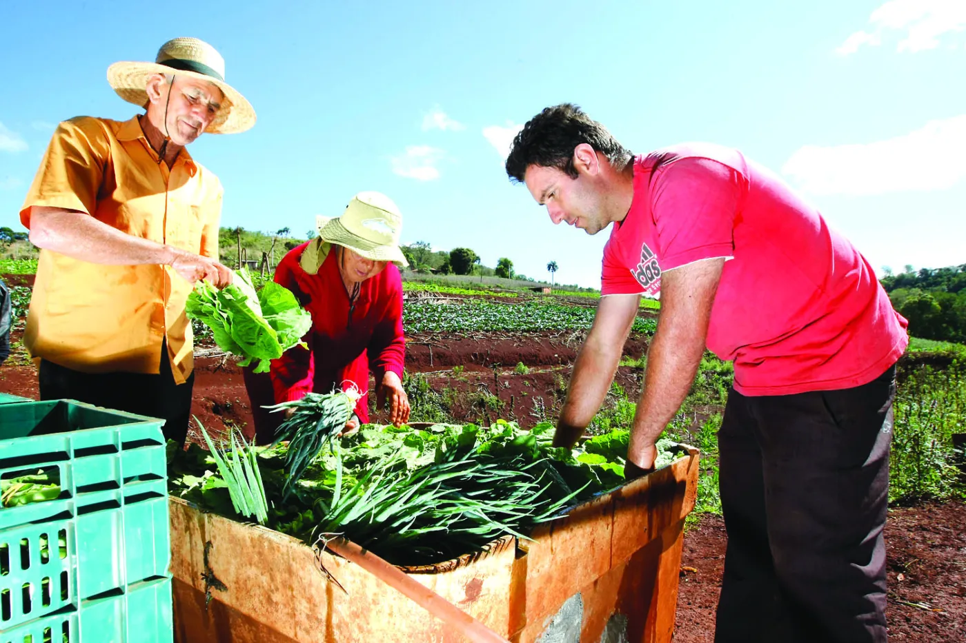 Começa cerimônia de lançamento do Plano Safra 2025/26 da agricultura familiar