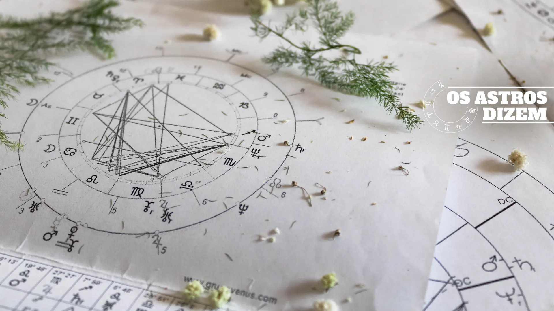 Julho chega com tensão e desafios; como será este mês para cada signo?
