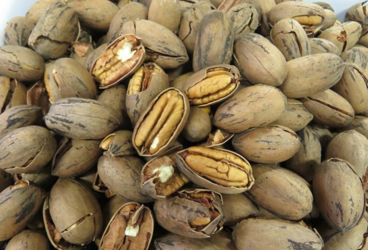 IBPecan busca código comum no Mercosul para noz-pecã e mira novos mercados