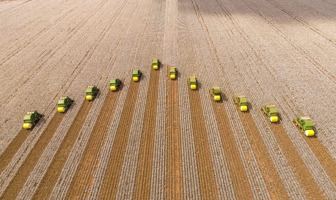 Rei da Soja avança no Matopiba: SLC Agrícola conclui compra da Sierentz Agro Brasil por R$ 738,2 milhões