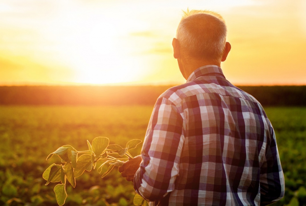 EUA: secretária de Agricultura diz que meta é ter trabalho agrícola ‘100% legal’