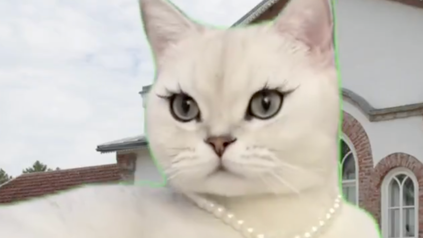 Fazenda faz meme de “gatinho” para defender isenção de até R$ 5.000