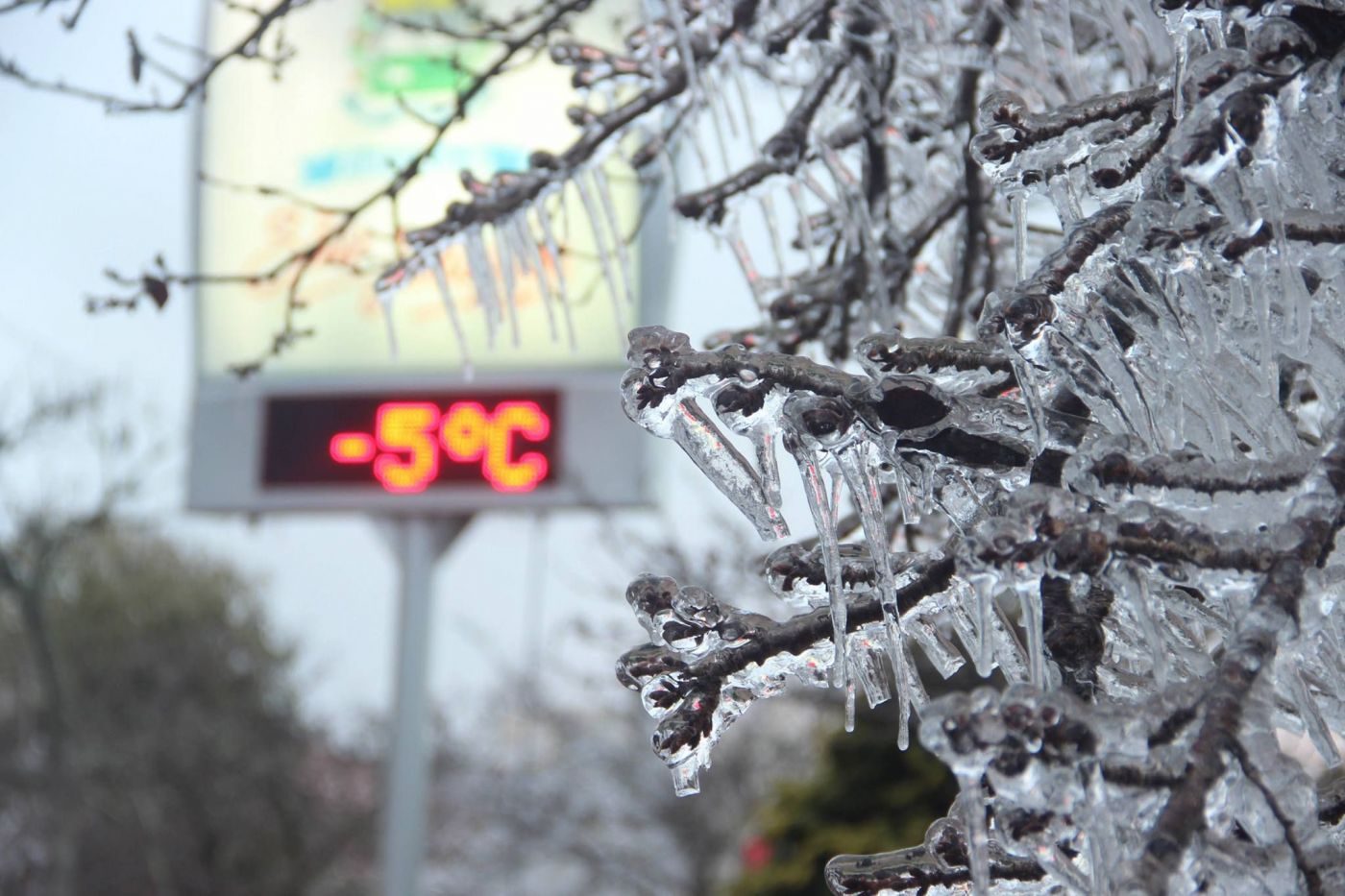 Frio intenso deve atingir ao menos 6 capitais neste fim de semana; veja a previsão