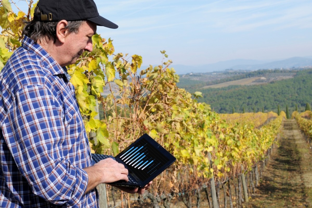 MAPFRE digitaliza seguro patrimonial rural para ganhar escala no agro
