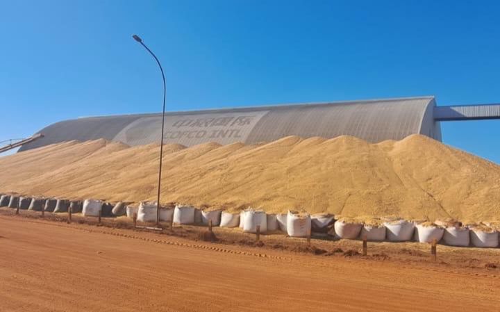 Brasil colhe a maior safra da história — mas segue sem ter onde guardar os grãos