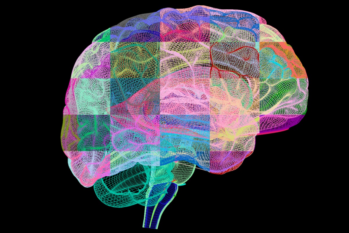 Alzheimer pode seguir quatro caminhos distintos, mostra estudo