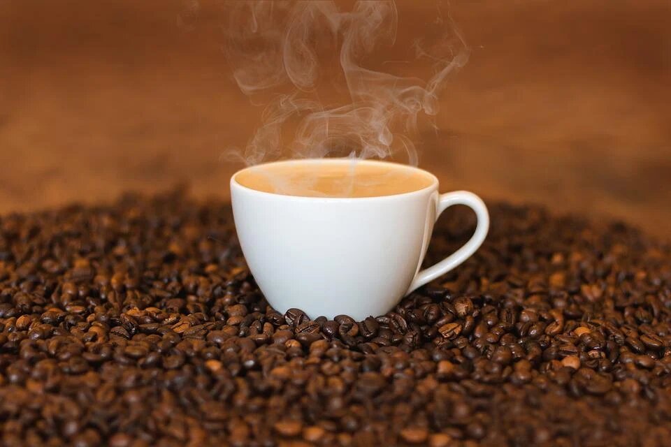 OIC: exportação mundial de café em maio aumenta 5%, para 12,65 milhões de sacas