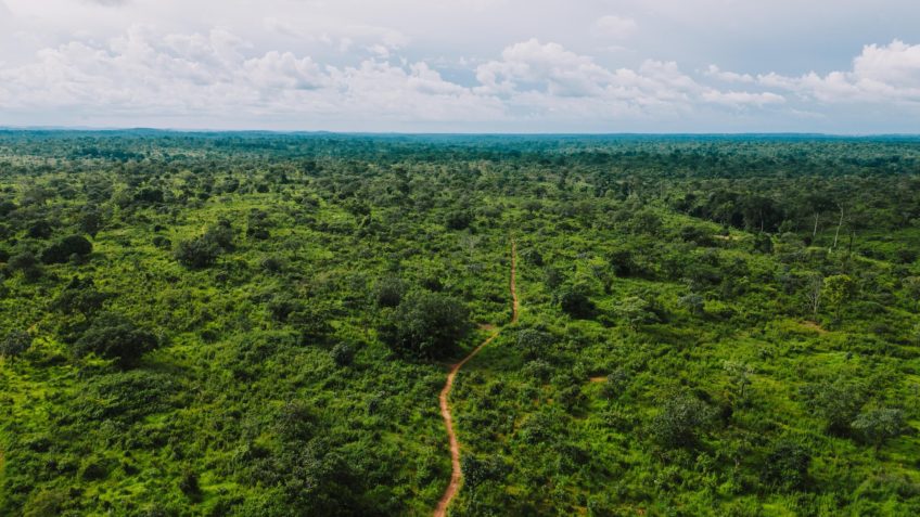 66% das indústrias têm interesse em crédito verde, diz CNI