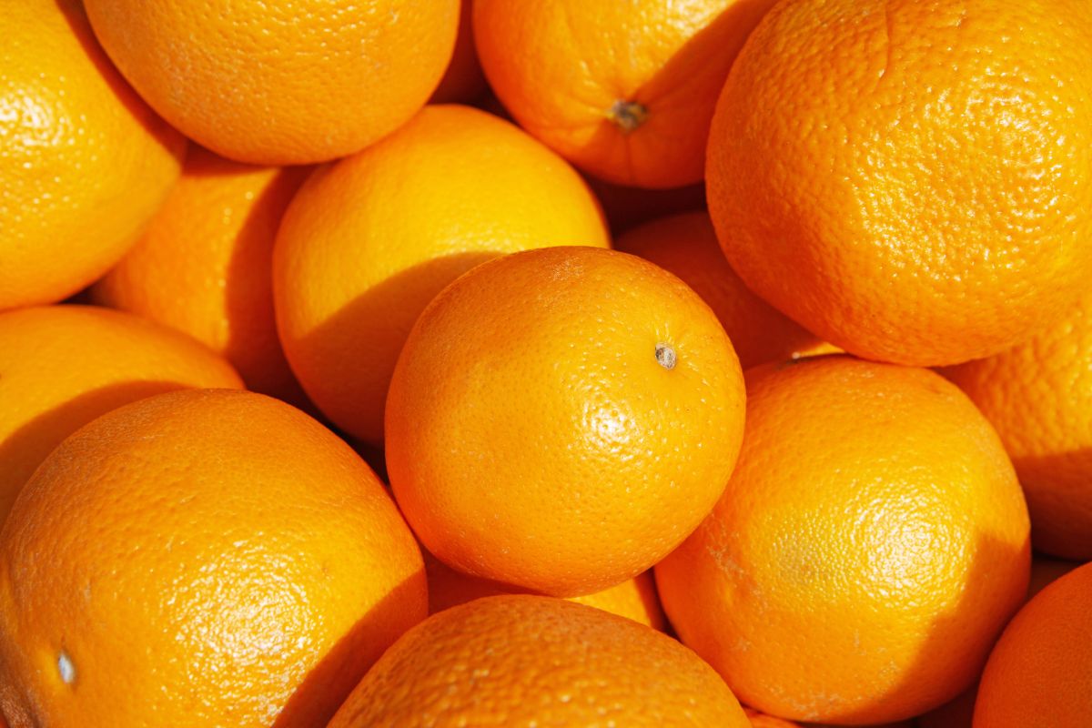 Tarifaço de Trump: suco de laranja volta a disparar em Nova York