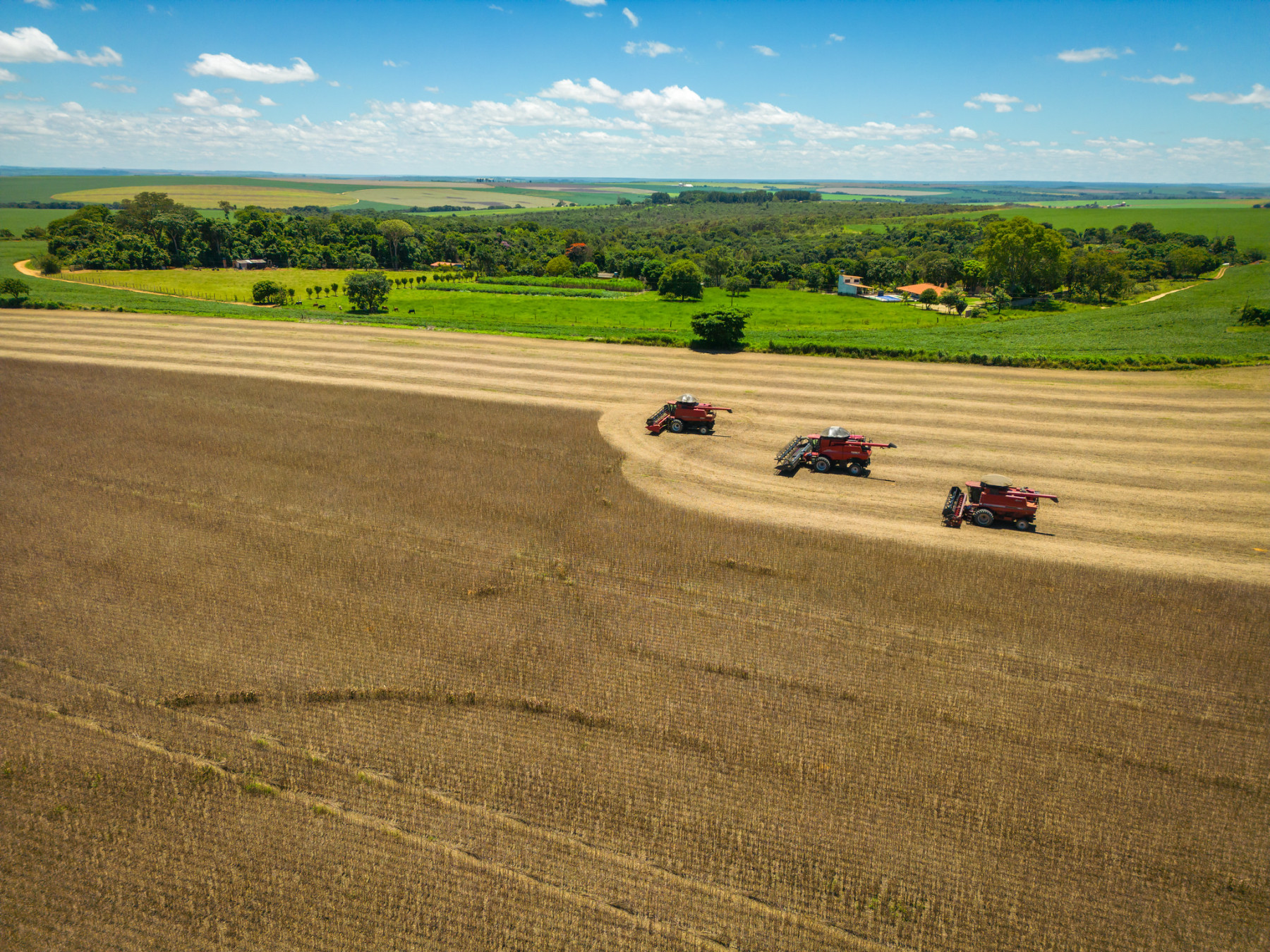 BrasilAgro, gigante do setor, vende Fazenda Preferência por R$ 141,4 milhões