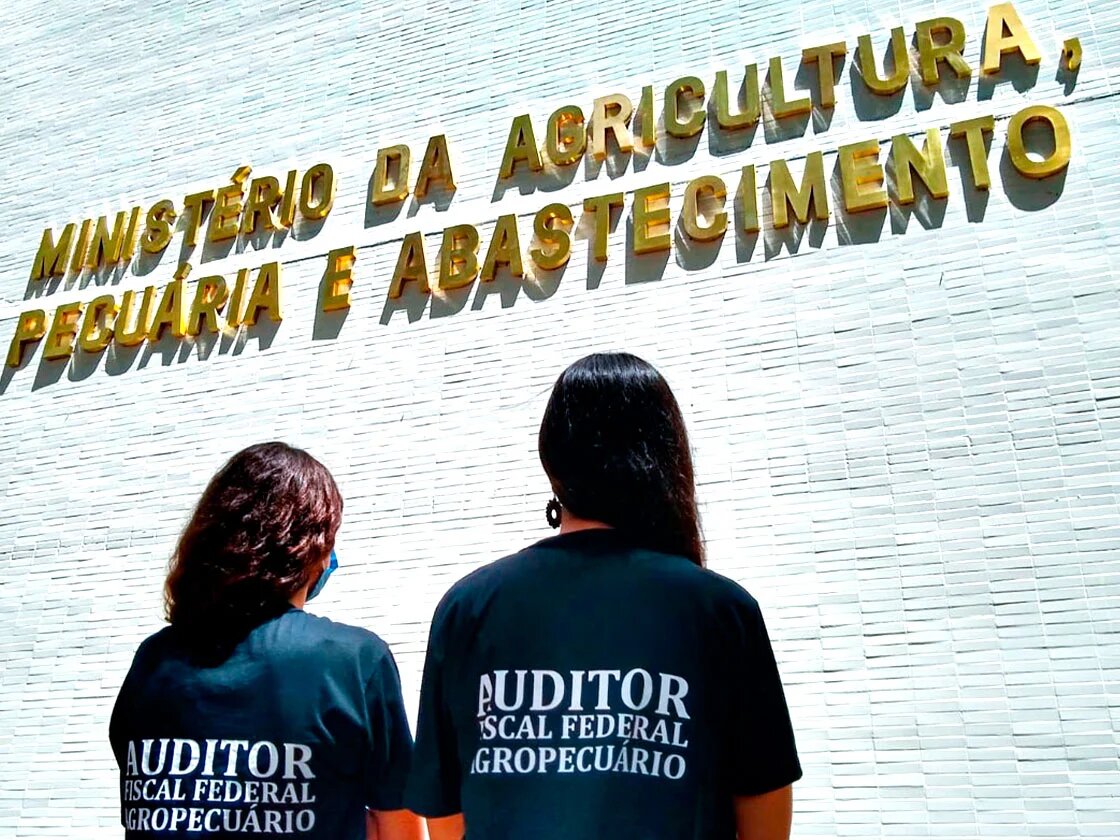 No Dia do Pecuarista, auditores fiscais federais agropecuários alertam para riscos da privatização das inspeções