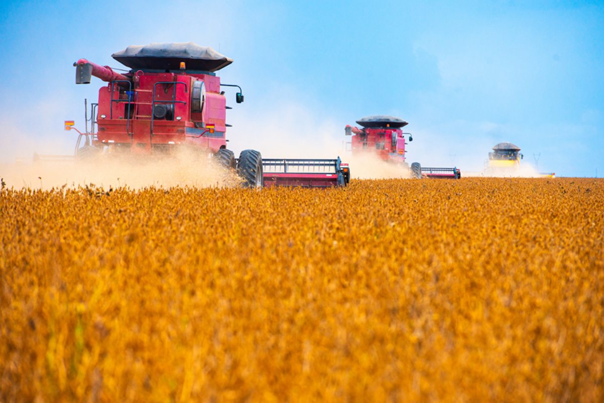 Recuperações judiciais no agro disparam no 1º trimestre, mostra Serasa