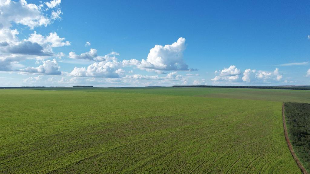 Fazenda em região nobre e com 323 hectares vai a leilão por apenas R$ 17 milhões