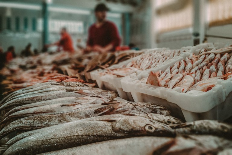 Abipesca pede exclusão dos pescados das tarifas americanas e alerta para impacto social no Brasil