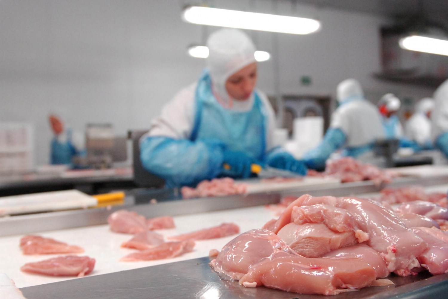 Gripe aviária: Peru, Jordânia e Hong Kong retiram restrições de exportação à carne de aves brasileira